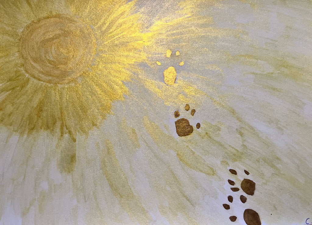 Paws of Divine Light